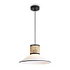 Freya Modern Mixture Подвесной светильник цвет: черный FR5483PL-01B3