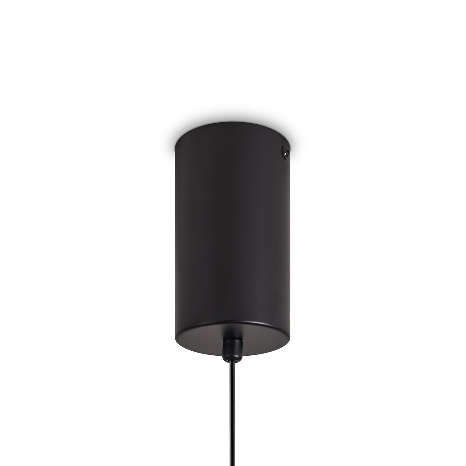 Freya Modern Acoustic Подвесной светильник цвет: черный FR5494PL-L9GR