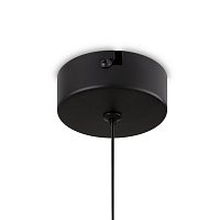 Freya LED Ida Подвесной светильник цвет: черный FR6133PL-L4SM