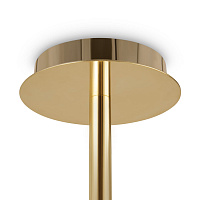 Freya Crystal Mineral Потолочный светильник цвет: золото FR1010CL-06G