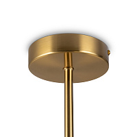 Freya Modern Bony Потолочный светильник цвет: латунь FR5394CL-12BS