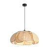 Freya Modern Cocoon Подвесной светильник цвет: черный FR5529PL-01B