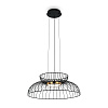 Freya Modern Citrus Подвесной светильник цвет: черный FR5398PL-L6B