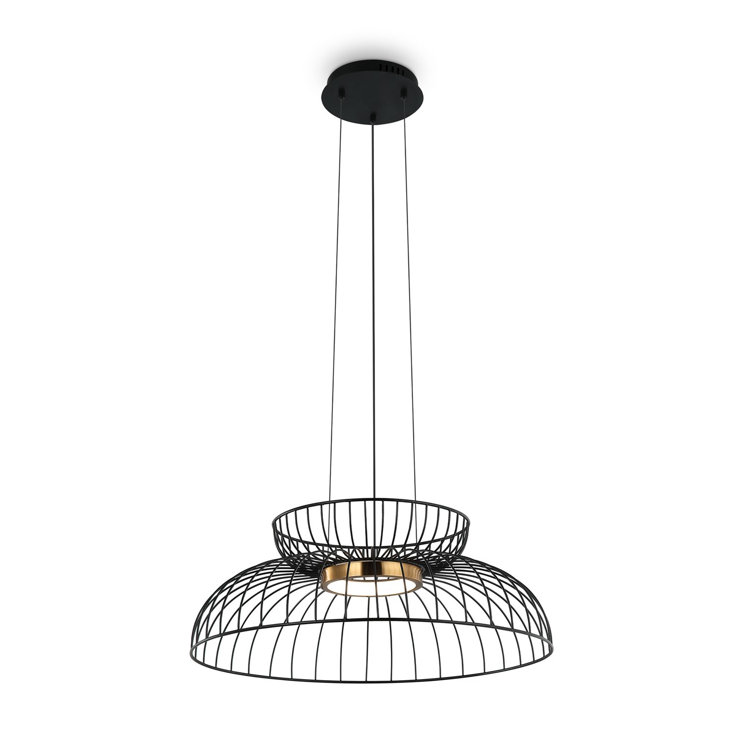 Freya Modern Citrus Подвесной светильник цвет: черный FR5398PL-L6B