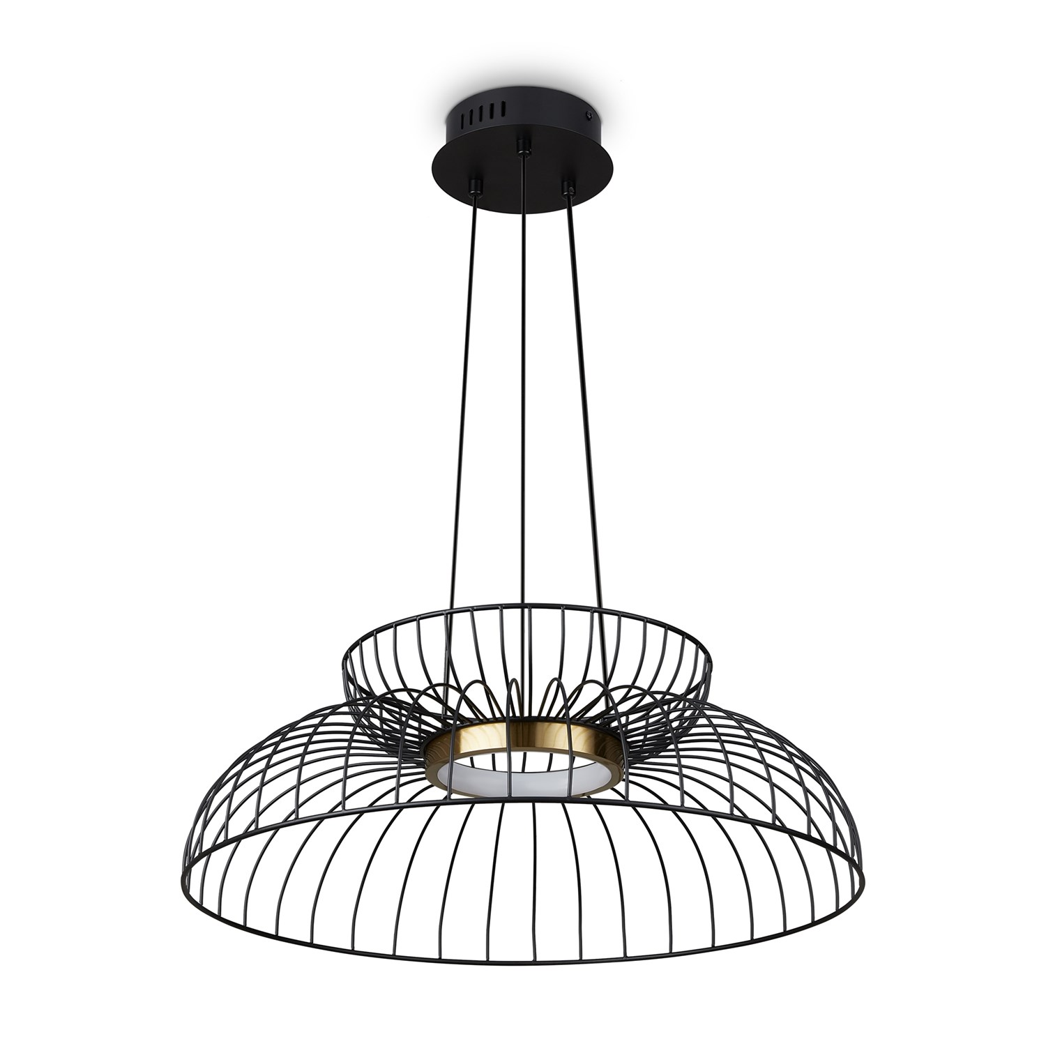 Freya Modern Citrus Подвесной светильник цвет: черный FR5398PL-L6B