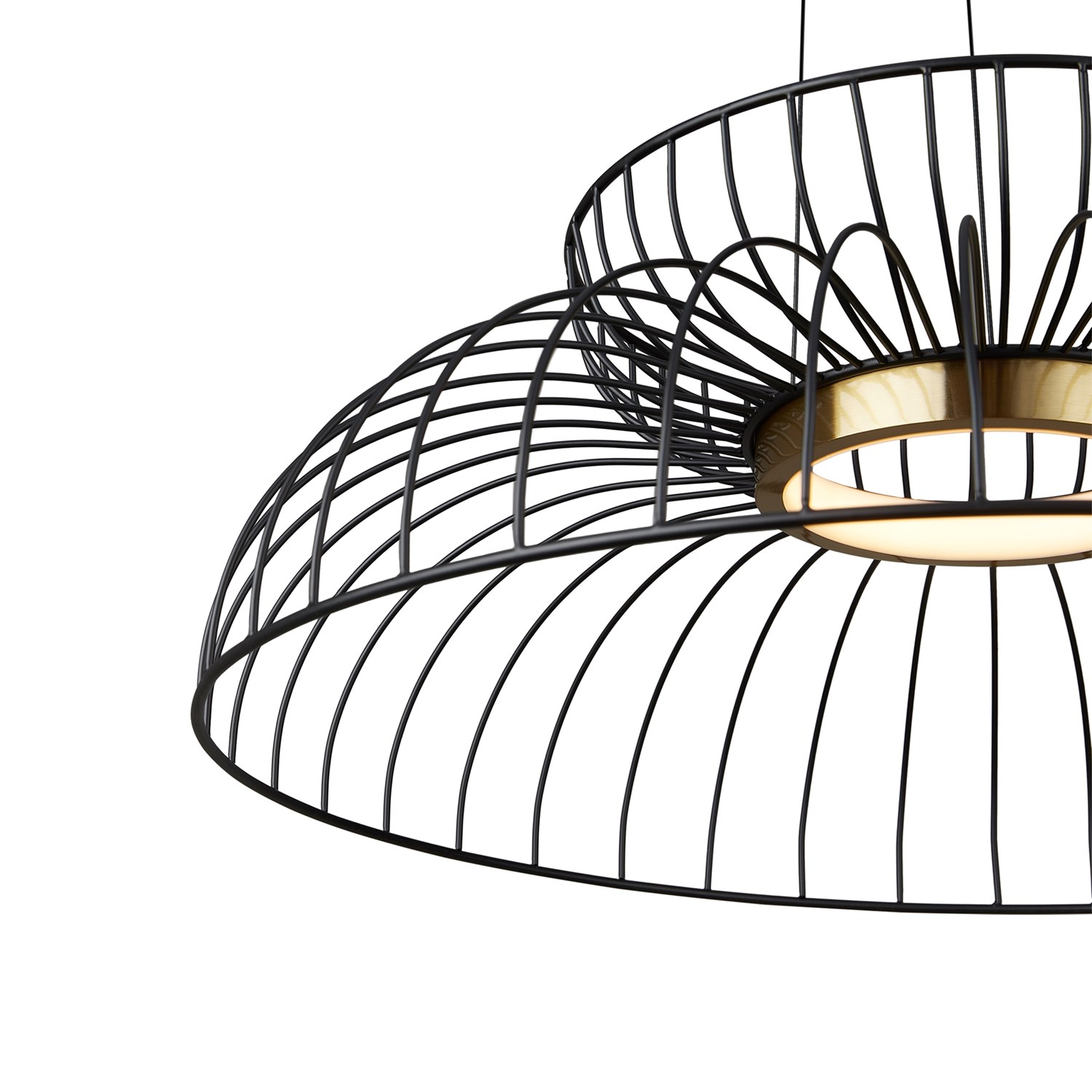 Freya Modern Citrus Подвесной светильник цвет: черный FR5398PL-L6B