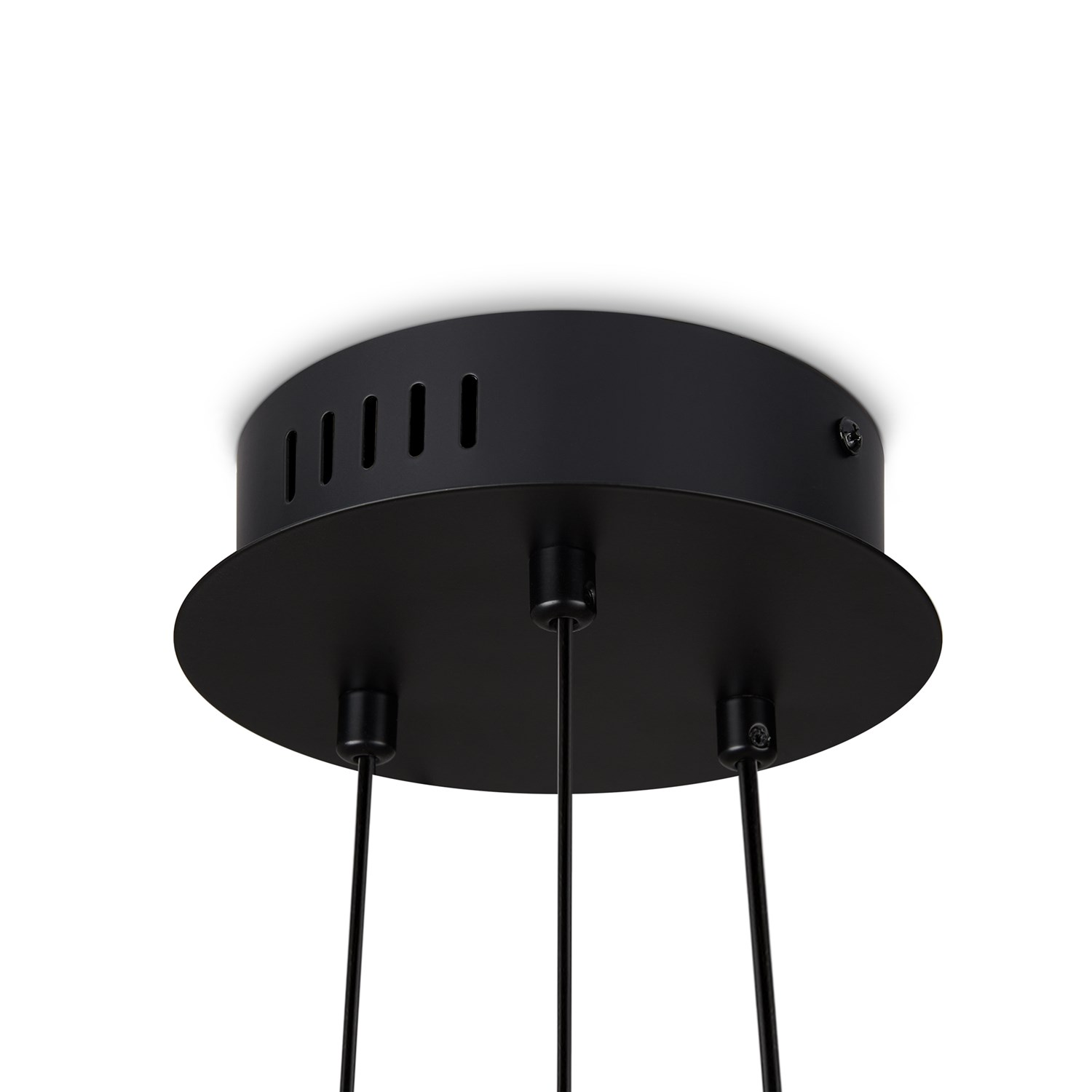 Freya Modern Citrus Подвесной светильник цвет: черный FR5398PL-L6B