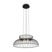 Freya Modern Citrus Подвесной светильник цвет: черный FR5398PL-L6B