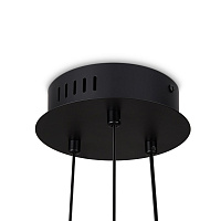 Freya Modern Citrus Подвесной светильник цвет: черный FR5398PL-L6B