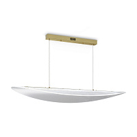 Freya Modern Cloud Подвесной светильник цвет: золото FR5441PL-L40G