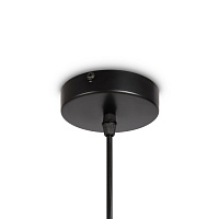 Freya Modern LoungeGarden Подвесной светильник цвет: черный FR5248PL-01BG