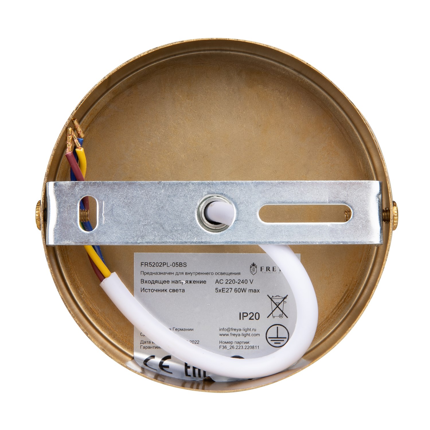 Freya Modern Camelia Подвесной светильник цвет: латунь FR5202PL-05BS