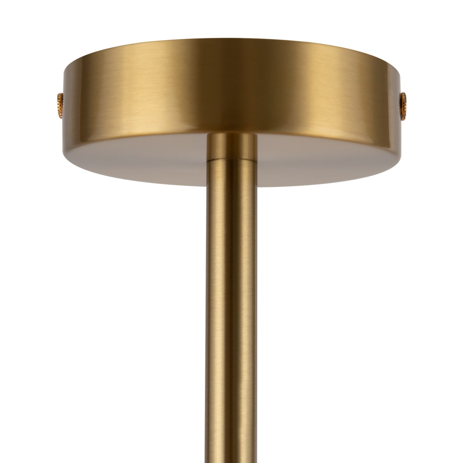 Freya Modern Camelia Подвесной светильник цвет: латунь FR5202PL-05BS