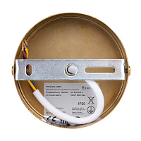 Freya Modern Camelia Подвесной светильник цвет: латунь FR5202PL-05BS