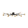 Freya Modern Celebrity Потолочный светильник цвет: черный FR5242CL-16B