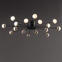 Freya Modern Celebrity Потолочный светильник цвет: черный FR5242CL-16B