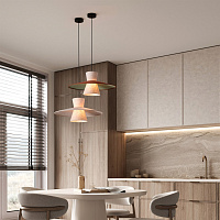 Freya Modern Fly Подвесной светильник цвет: черный FR5489PL-01BG