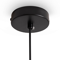 Freya Modern Fly Подвесной светильник цвет: черный FR5489PL-01BG