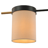 Freya Modern Bogy Потолочный светильник цвет: черный FR5377CL-04B