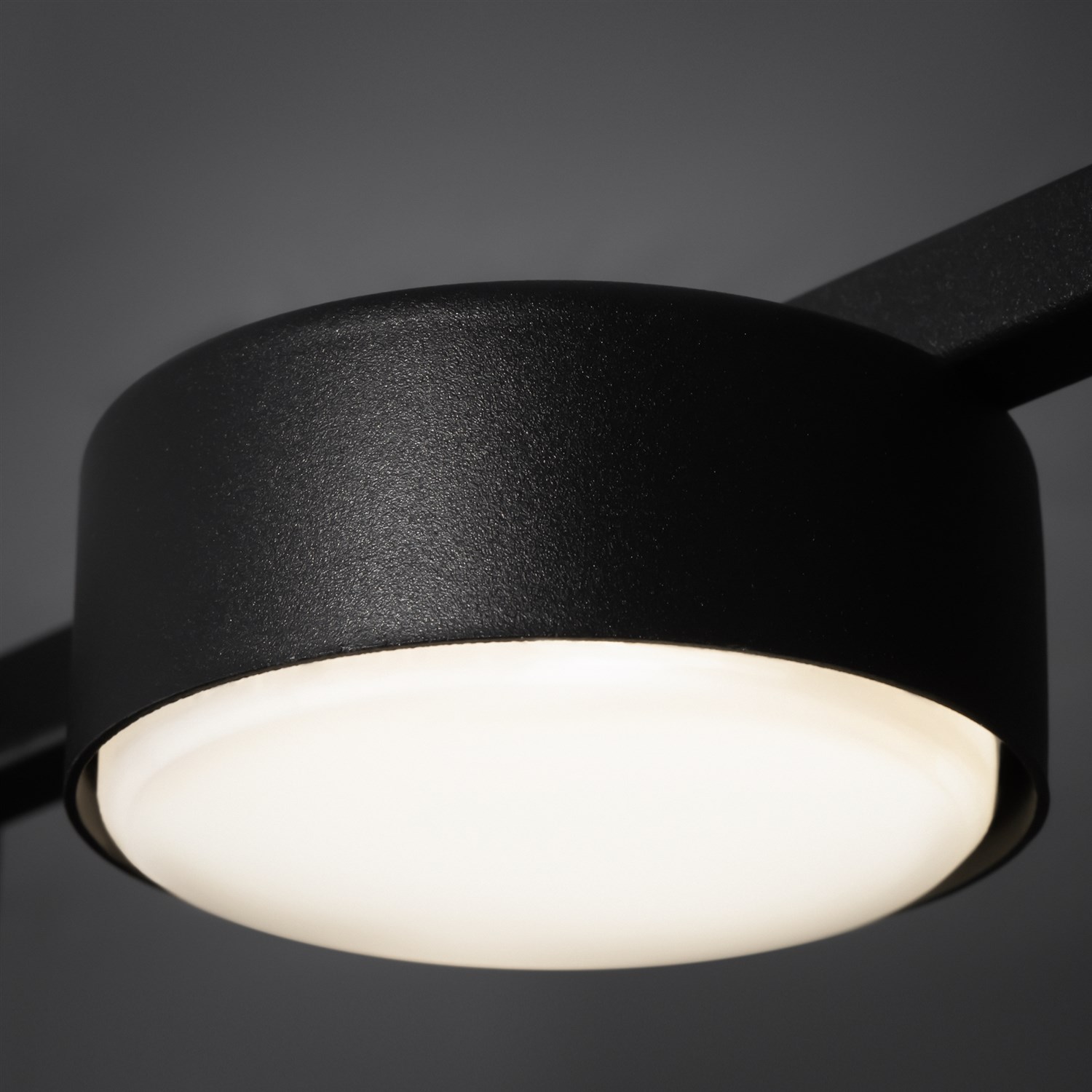 Freya Modern Tactic Потолочный светильник цвет: черный FR5363CL-02B