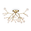 Freya Modern Florencia Потолочный светильник цвет: золото FR5049CL-27G