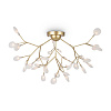 Freya Modern Florencia Потолочный светильник цвет: золото FR5049CL-36G