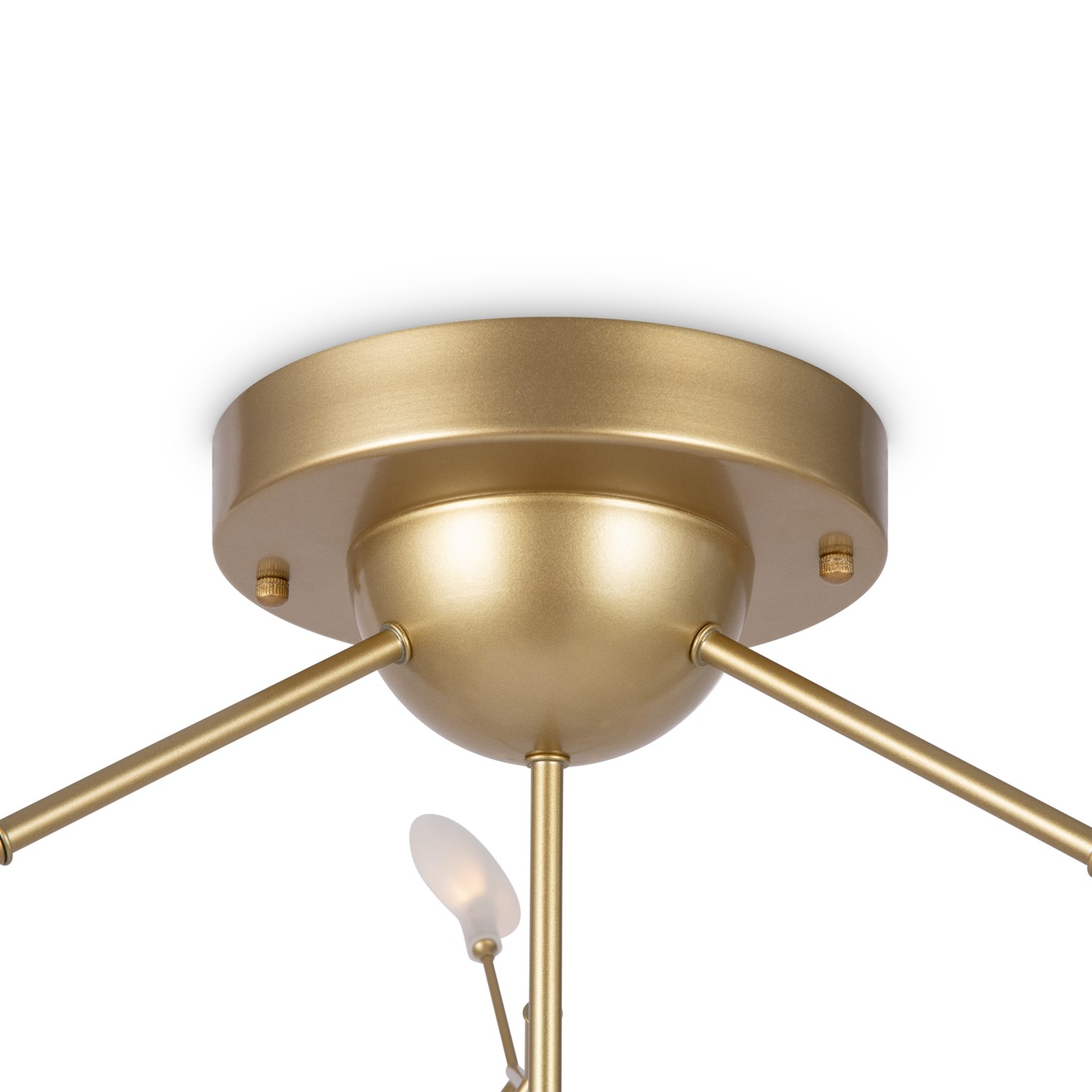 Freya Modern Florencia Потолочный светильник цвет: золото FR5049CL-36G