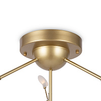 Freya Modern Florencia Потолочный светильник цвет: золото FR5049CL-36G