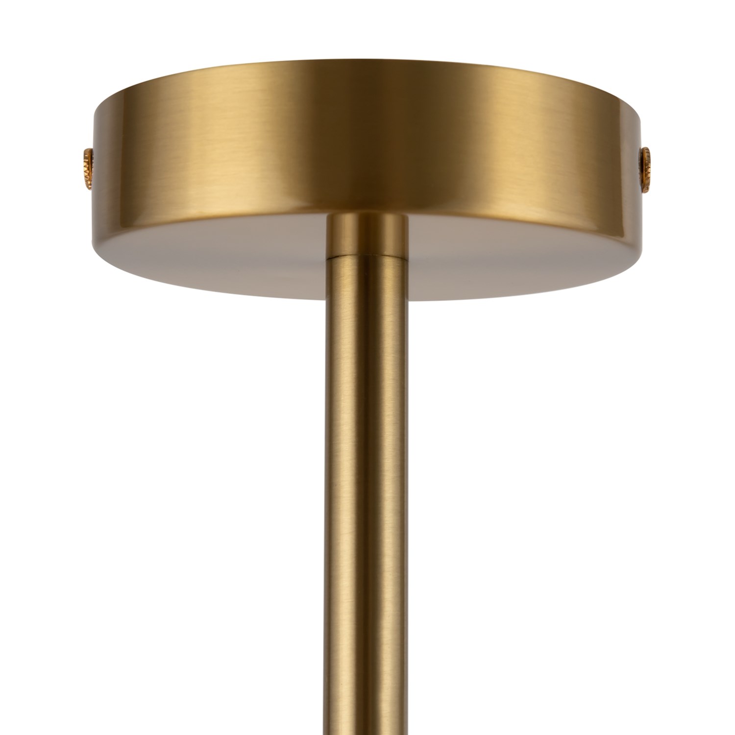 Freya Modern Camelia Подвесной светильник цвет: латунь FR5202PL-08BS