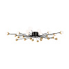 Freya Modern Celebrity Потолочный светильник цвет: черный FR5242CL-24B