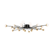 Freya Modern Celebrity Потолочный светильник цвет: черный FR5242CL-24B