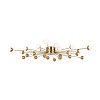 Freya Modern Celebrity Потолочный светильник цвет: латунь FR5242CL-24BS