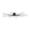 Freya Modern Celebrity Потолочный светильник цвет: черный FR5242CL-16B1