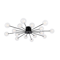 Freya Modern Celebrity Потолочный светильник цвет: черный FR5242CL-16B1