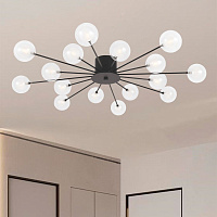Freya Modern Celebrity Потолочный светильник цвет: черный FR5242CL-16B1