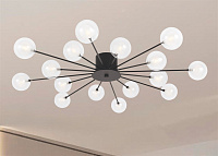 Freya Modern Celebrity Потолочный светильник цвет: черный FR5242CL-16B1