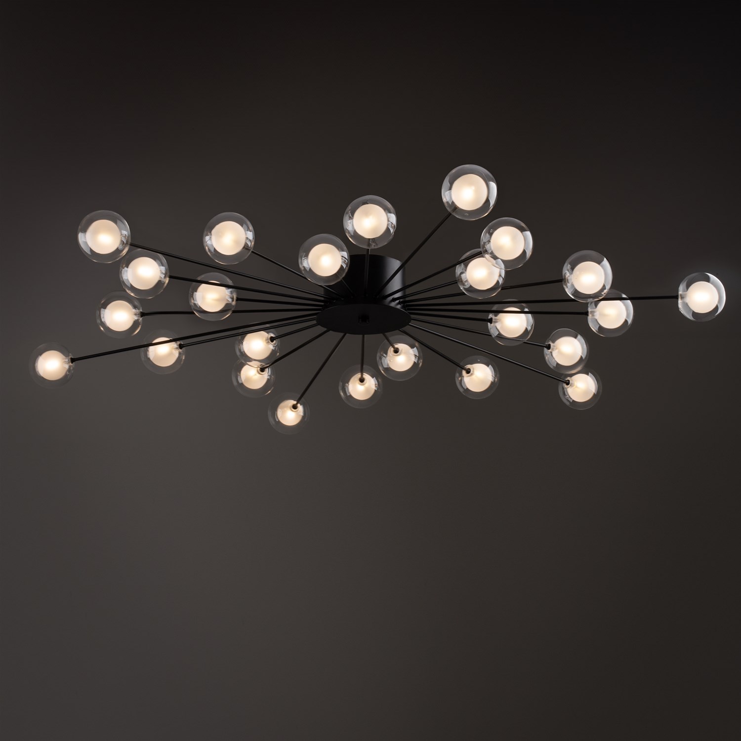 Freya Modern Celebrity Потолочный светильник цвет: черный FR5242CL-24B1