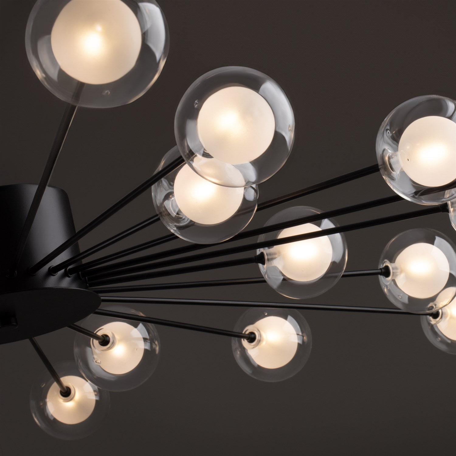 Freya Modern Celebrity Потолочный светильник цвет: черный FR5242CL-24B1
