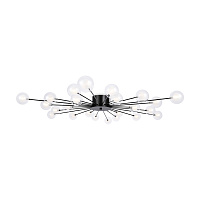 Freya Modern Celebrity Потолочный светильник цвет: черный FR5242CL-24B1