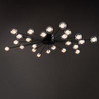 Freya Modern Celebrity Потолочный светильник цвет: черный FR5242CL-24B1