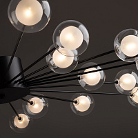 Freya Modern Celebrity Потолочный светильник цвет: черный FR5242CL-24B1