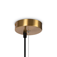 Freya Modern Blossom Подвесной светильник цвет: латунь FR5259PL-06BS