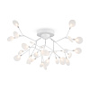 Freya Modern Florencia Потолочный светильник цвет: белый FR5049CL-27W2