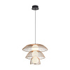 Freya Modern Harper Подвесной светильник цвет: черный FR5545PL-L5BG