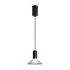 Freya LED Lake Подвесной светильник цвет: черный FR6179PL-L6B