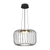 Freya Modern Citrus Подвесной светильник цвет: черный FR5398PL-L8B