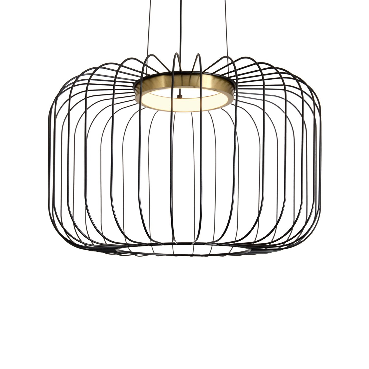Freya Modern Citrus Подвесной светильник цвет: черный FR5398PL-L8B
