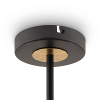 Freya Modern Hats Потолочный светильник цвет: черный FR5370CL-04B