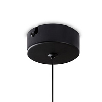 Freya LED Ida Подвесной светильник цвет: черный FR6133PL-L4G