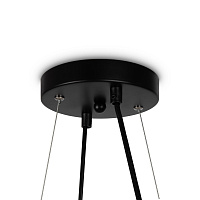 Freya Modern Globos Подвесной светильник цвет: черный FR5222PL-08B